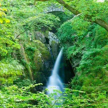 Felldale