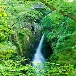 Felldale